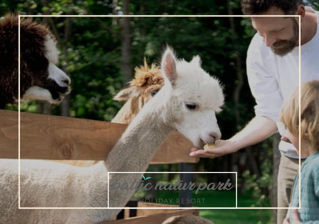 Baltic Natur Park - Holiday Resort Niechorze Ngoại thất bức ảnh